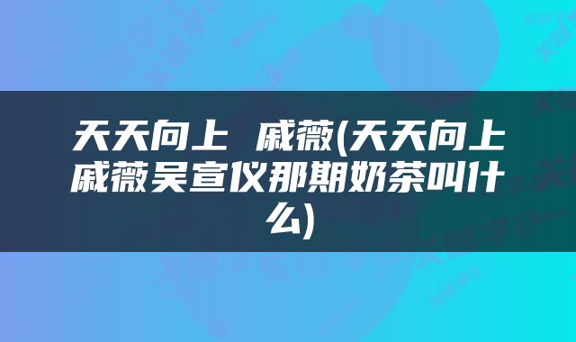 天天向上 戚薇(天天向上戚薇吴宣仪那期奶茶叫什么)