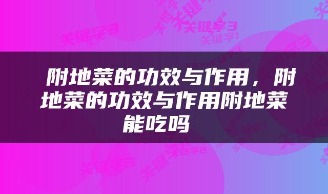  附地菜的功效与作用，附地菜的功效与作用附地菜能吃吗 