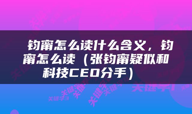  钧甯怎么读什么含义，钧甯怎么读（张钧甯疑似和科技CEO分手） 