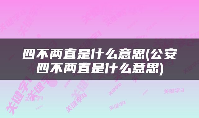 四不两直是什么意思(公安四不两直是什么意思)