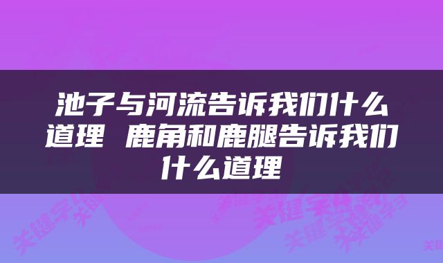 池子与河流告诉我们什么道理 鹿角和鹿腿告诉我们什么道理