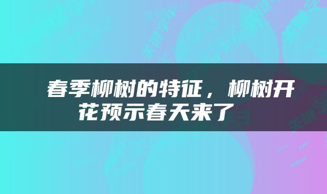  春季柳树的特征，柳树开花预示春天来了 
