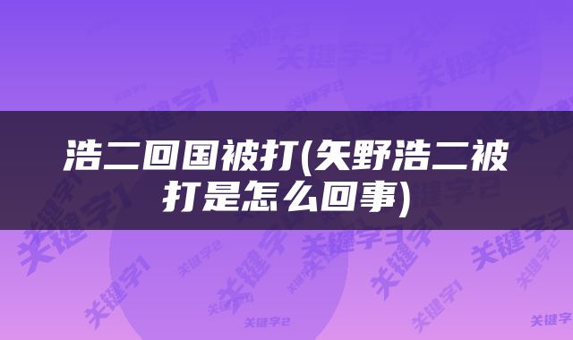 浩二回国被打(矢野浩二被打是怎么回事)