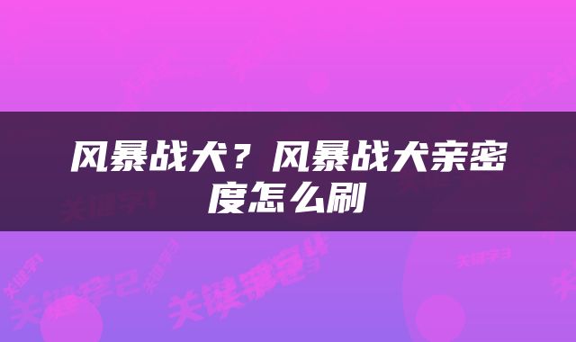 风暴战犬？风暴战犬亲密度怎么刷
