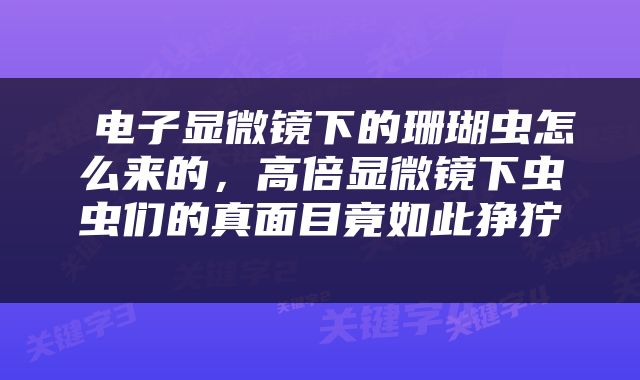 电子显微镜下的珊瑚虫怎么来的，高倍显微镜下虫虫们的真面目竟如此狰狞 