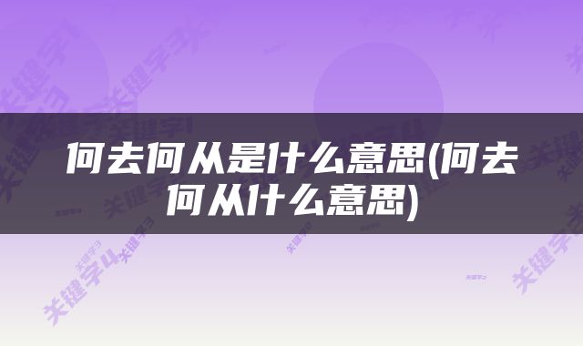 何去何从是什么意思(何去何从什么意思)