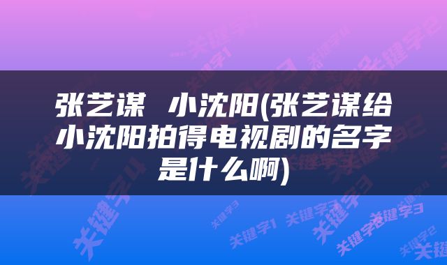 张艺谋 小沈阳(张艺谋给小沈阳拍得电视剧的名字是什么啊)
