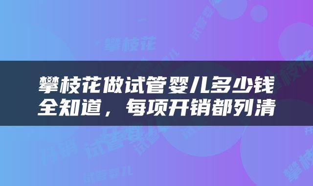 攀枝花做试管婴儿多少钱全知道，每项开销都列清