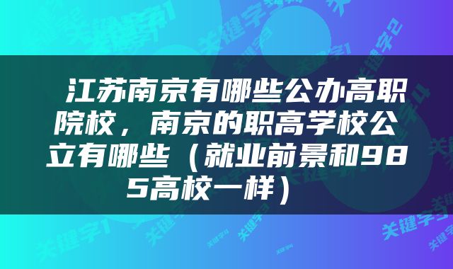 江苏南京有哪些公办高职院校，南京的职高学校公立有哪些（就业前景和985高校一样） 