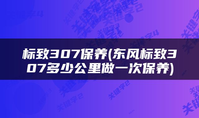 标致307保养(东风标致307多少公里做一次保养)