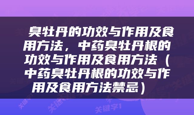  臭牡丹的功效与作用及食用方法，中药臭牡丹根的功效与作用及食用方法（中药臭牡丹根的功效与作用及食用方法禁忌） 