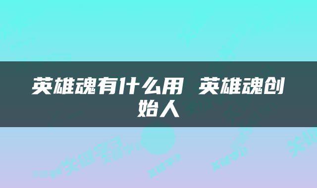 英雄魂有什么用 英雄魂创始人