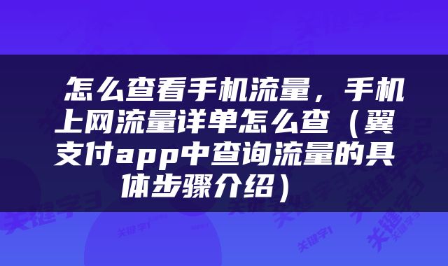  怎么查看手机流量，手机上网流量详单怎么查（翼支付app中查询流量的具体步骤介绍） 