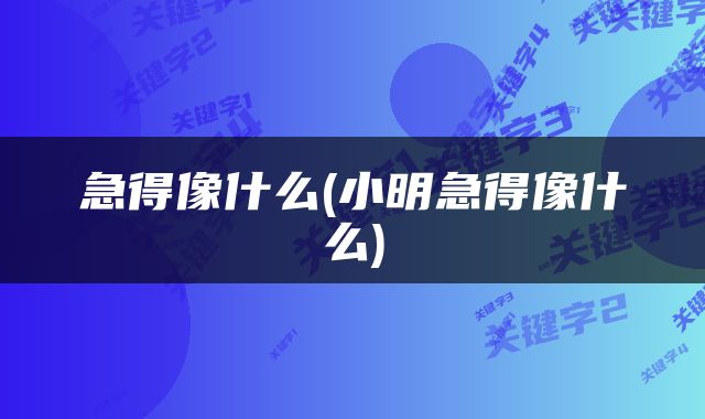 急得像什么(小明急得像什么)