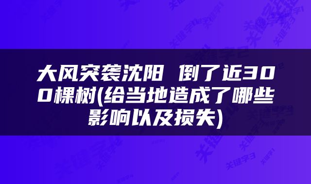 大风突袭沈阳 倒了近300棵树(给当地造成了哪些影响以及损失)