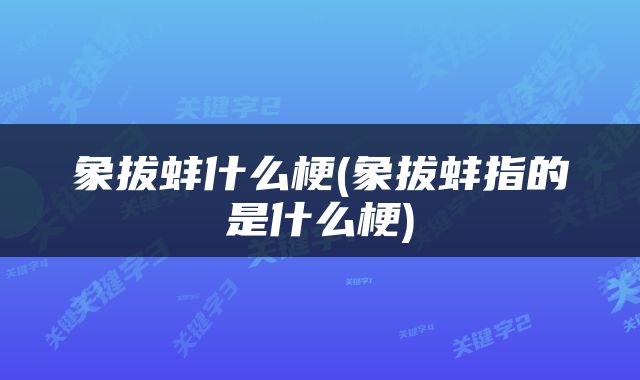 象拔蚌什么梗(象拔蚌指的是什么梗)