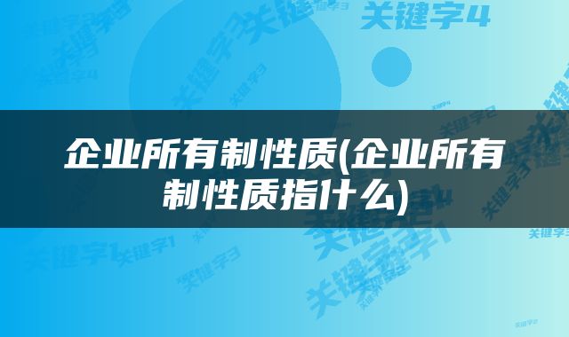 企业所有制性质(企业所有制性质指什么)