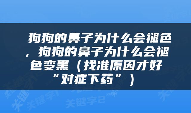  狗狗的鼻子为什么会褪色，狗狗的鼻子为什么会褪色变黑（找准原因才好“对症下药”） 