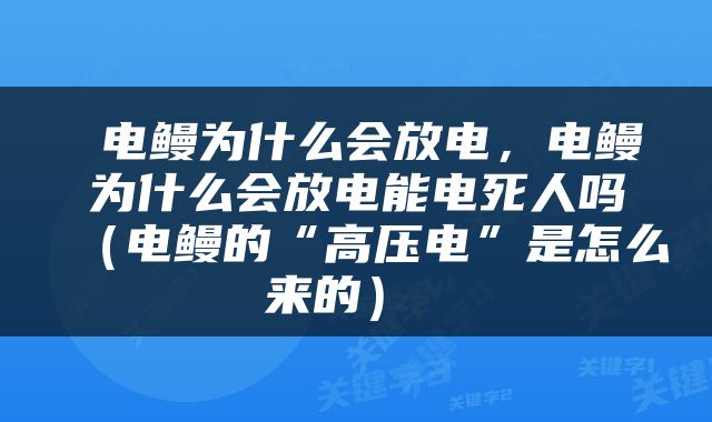  电鳗为什么会放电，电鳗为什么会放电能电死人吗（电鳗的“高压电”是怎么来的） 