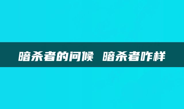 暗杀者的问候 暗杀者咋样
