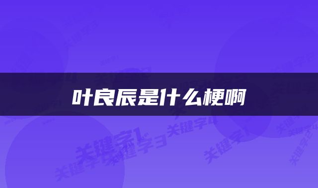 叶良辰是什么梗啊