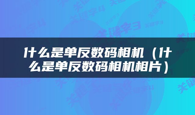 什么是单反数码相机（什么是单反数码相机相片）