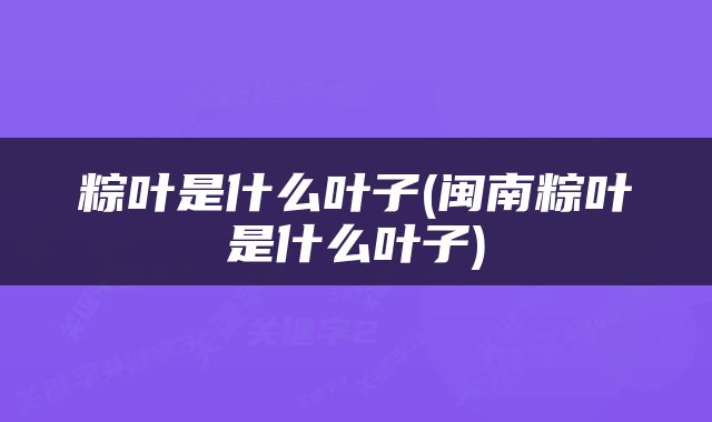 粽叶是什么叶子(闽南粽叶是什么叶子)