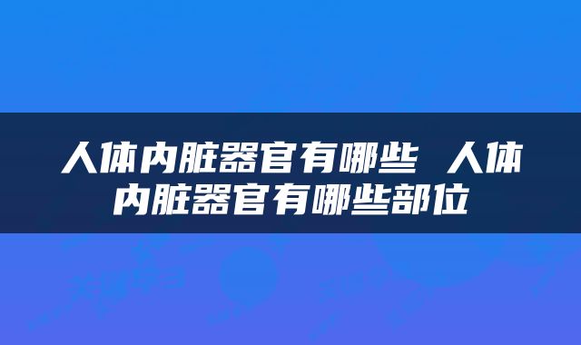 人体内脏器官有哪些 人体内脏器官有哪些部位