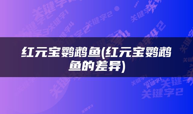 红元宝鹦鹉鱼(红元宝鹦鹉鱼的差异)