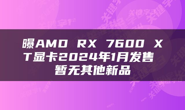 曝AMD RX 7600 XT显卡2024年1月发售 暂无其他新品