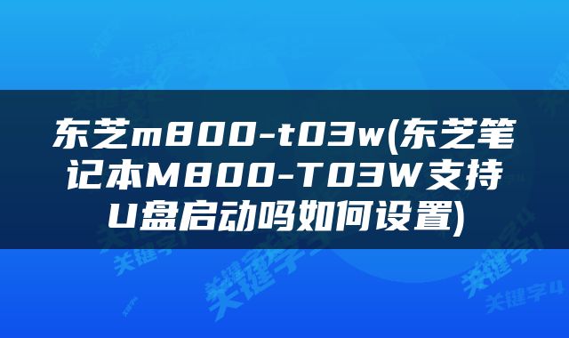 东芝m800-t03w(东芝笔记本M800-T03W支持U盘启动吗如何设置)