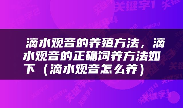  滴水观音的养殖方法，滴水观音的正确饲养方法如下（滴水观音怎么养） 