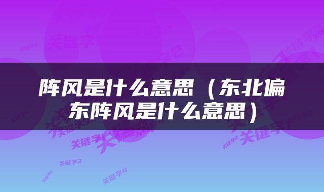 阵风是什么意思（东北偏东阵风是什么意思）