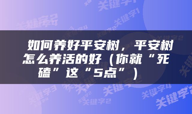  如何养好平安树，平安树怎么养活的好（你就“死磕”这“5点”） 