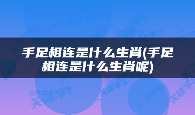 手足相连是什么生肖(手足相连是什么生肖呢)