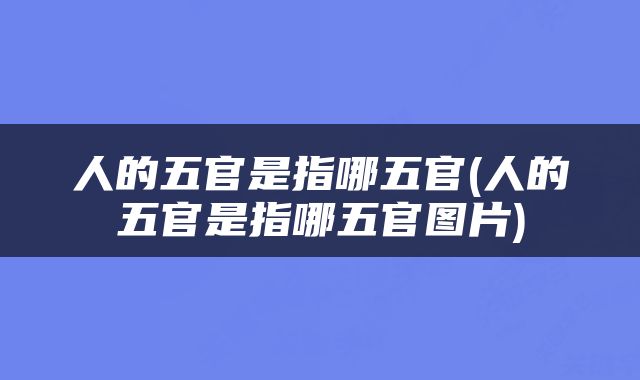 人的五官是指哪五官(人的五官是指哪五官图片)