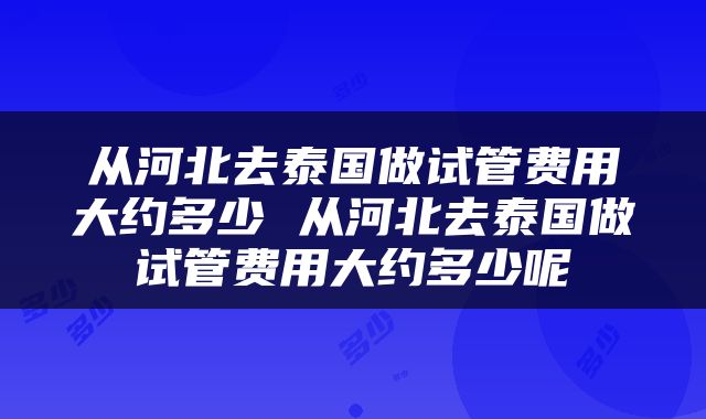 从河北去泰国做试管费用大约多少 从河北去泰国做试管费用大约多少呢