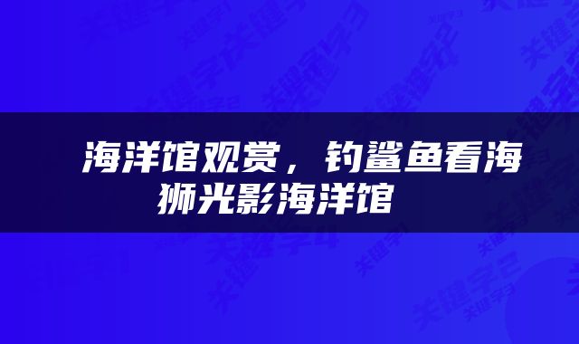  海洋馆观赏，钓鲨鱼看海狮光影海洋馆 