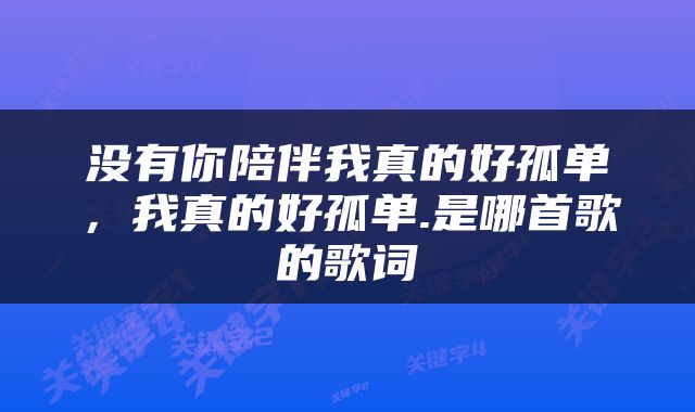 没有你陪伴我真的好孤单，我真的好孤单.是哪首歌的歌词