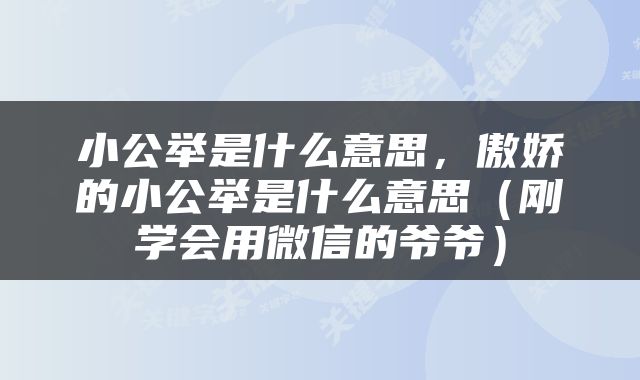 小公举是什么意思，傲娇的小公举是什么意思（刚学会用微信的爷爷）