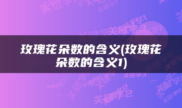玫瑰花朵数的含义(玫瑰花朵数的含义1)