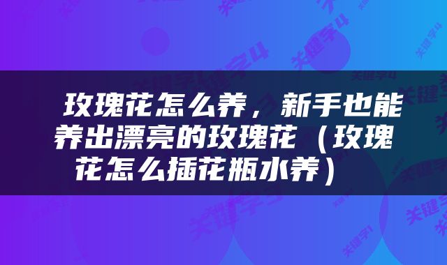  玫瑰花怎么养，新手也能养出漂亮的玫瑰花（玫瑰花怎么插花瓶水养） 