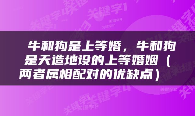 牛和狗是上等婚，牛和狗是天造地设的上等婚姻（两者属相配对的优缺点） 