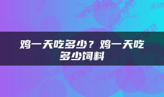 鸡一天吃多少？鸡一天吃多少饲料