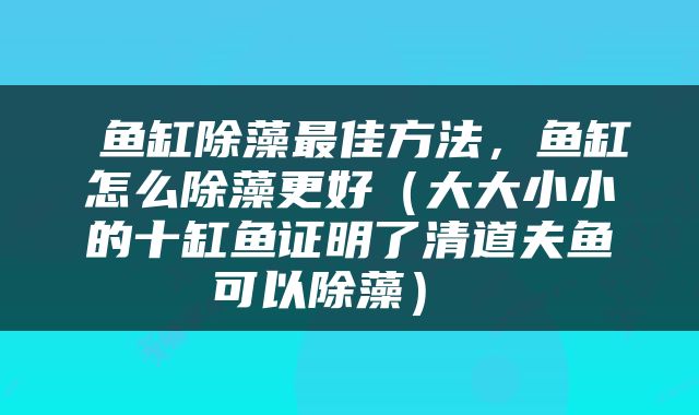  鱼缸除藻最佳方法，鱼缸怎么除藻更好（大大小小的十缸鱼证明了清道夫鱼可以除藻） 