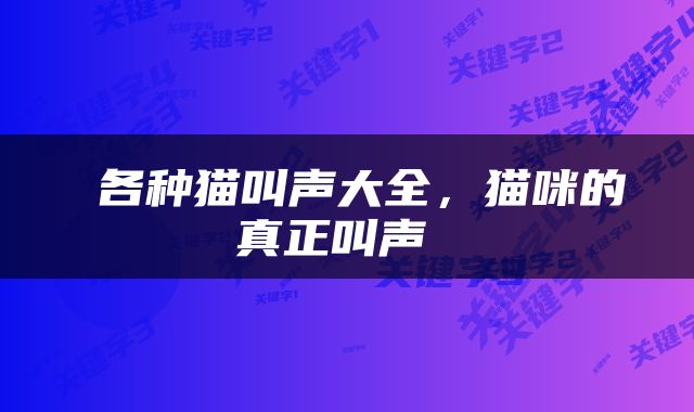 各种猫叫声大全,猫咪的真正叫声