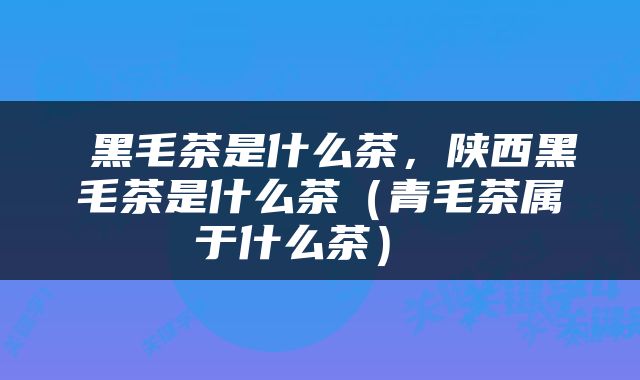  黑毛茶是什么茶，陕西黑毛茶是什么茶（青毛茶属于什么茶） 