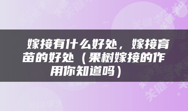  嫁接有什么好处，嫁接育苗的好处（果树嫁接的作用你知道吗） 