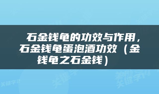  石金钱龟的功效与作用，石金钱龟蛋泡酒功效（金钱龟之石金钱） 