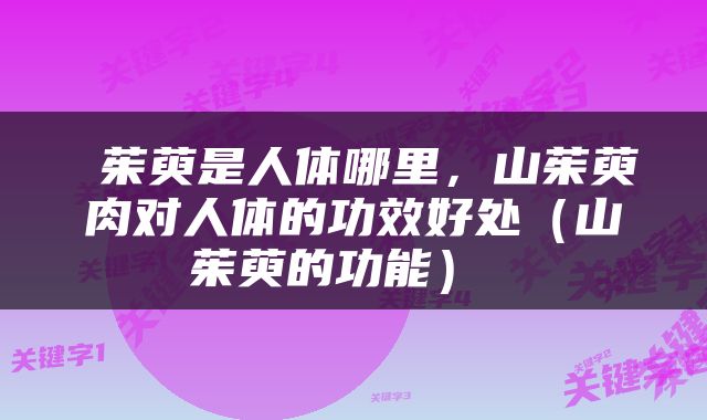  茱萸是人体哪里，山茱萸肉对人体的功效好处（山茱萸的功能） 